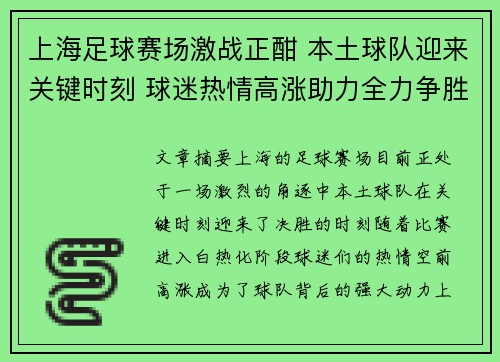 上海足球赛场激战正酣 本土球队迎来关键时刻 球迷热情高涨助力全力争胜